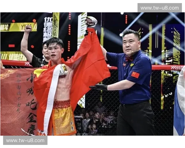 铁笼之巅的热血传奇:在VS网综合格斗中预见搏击的未来